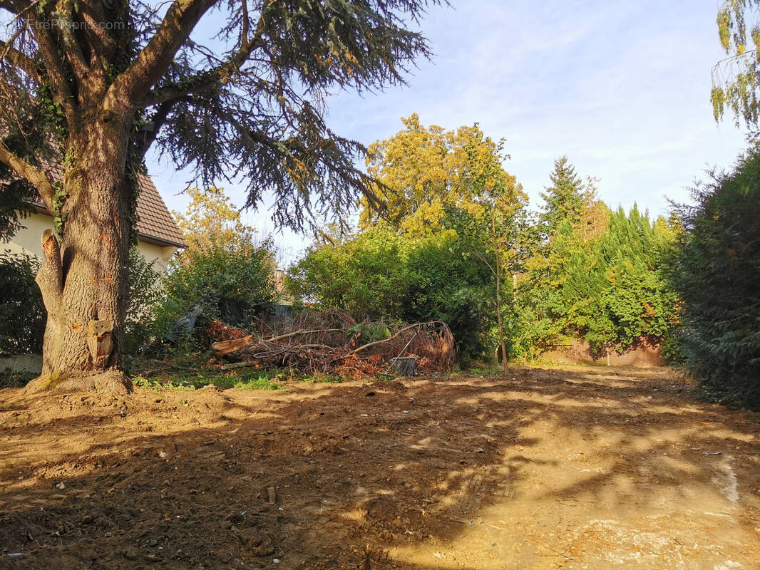 Terrain à VILLECRESNES