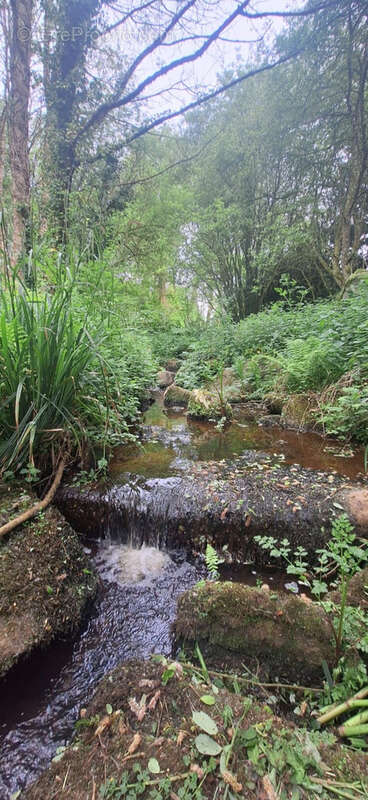 Maison à SAINT-JACUT-DU-MENE