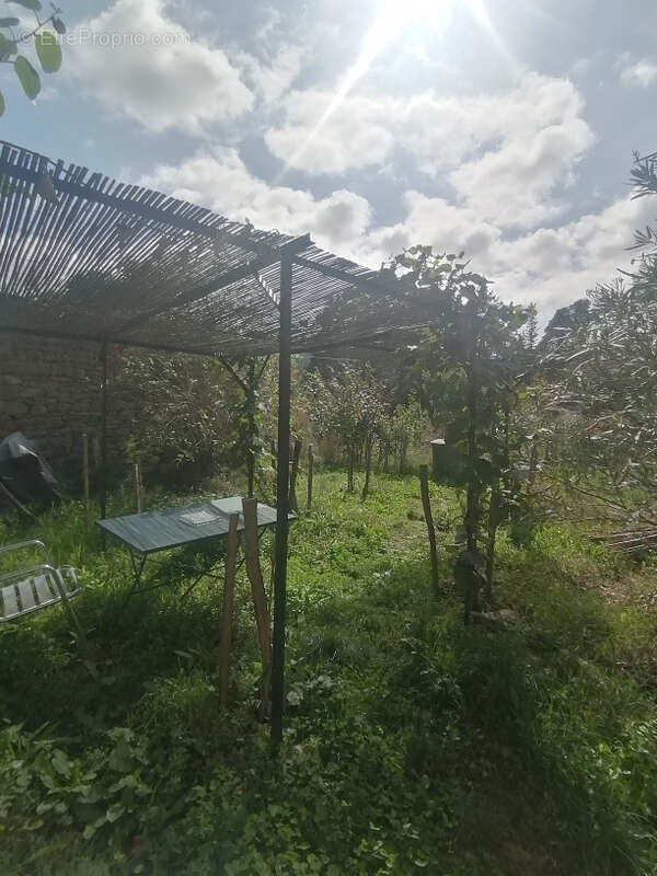 Maison à VILLAR-EN-VAL