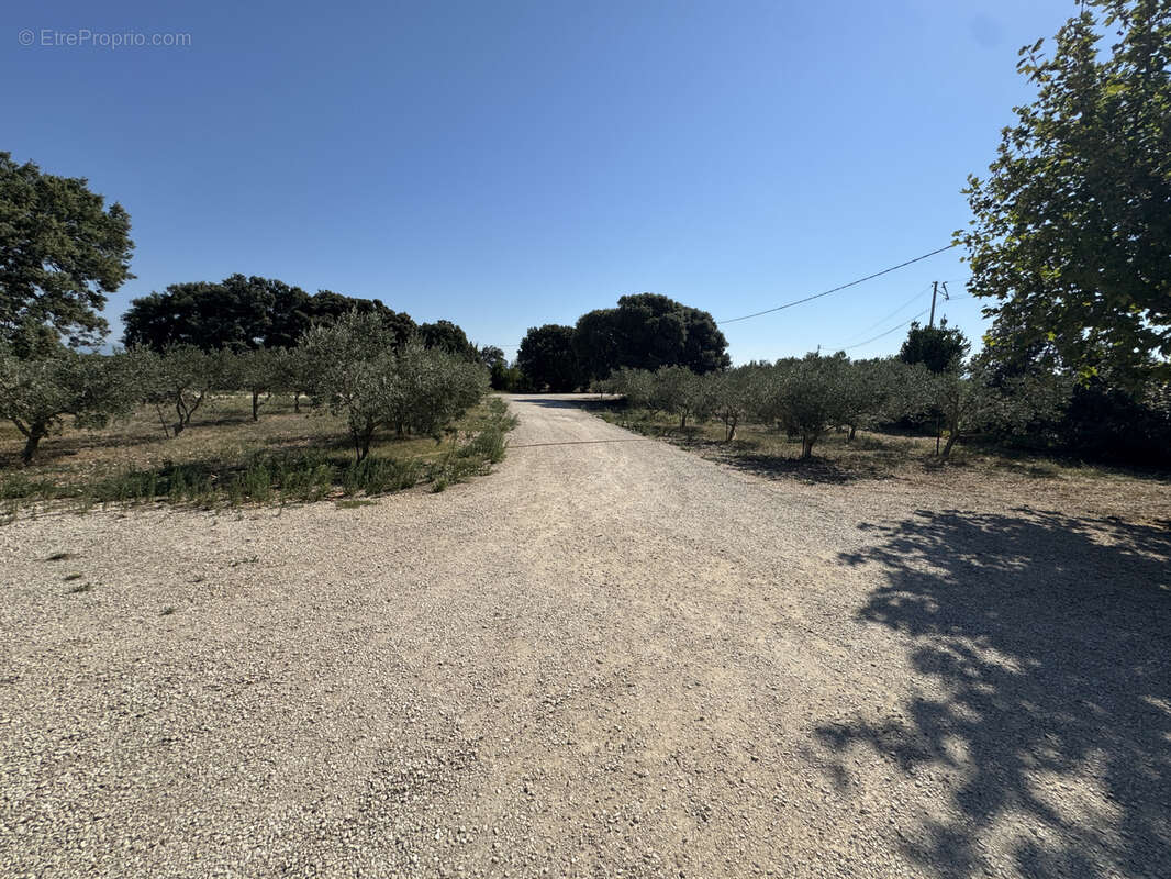 Maison à SAINTE-CECILE-LES-VIGNES