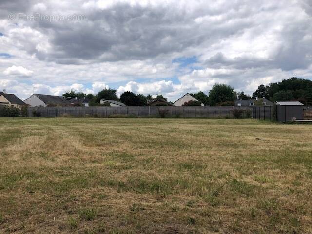 Terrain à BRAIN-SUR-ALLONNES