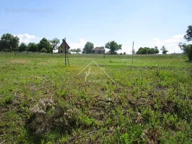 Maison à JALIGNY-SUR-BESBRE