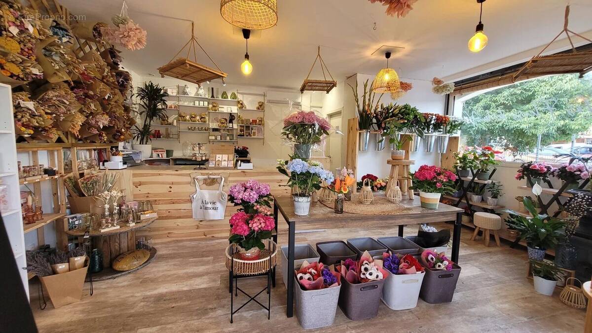 Commerce à LE THORONET