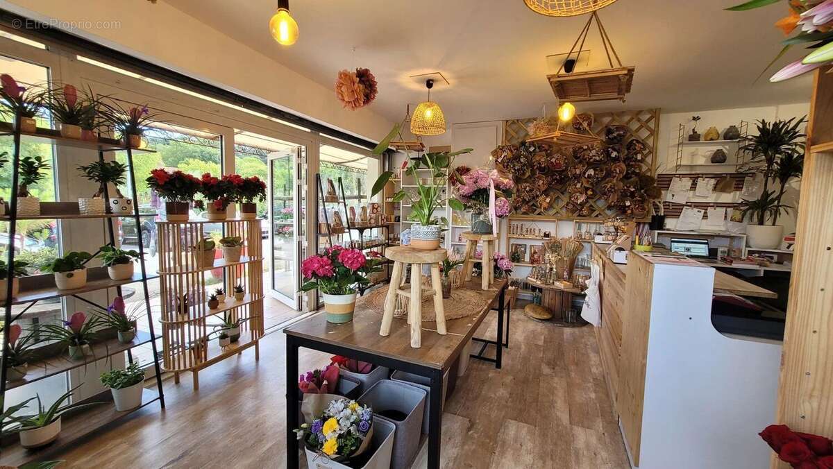 Commerce à LE THORONET