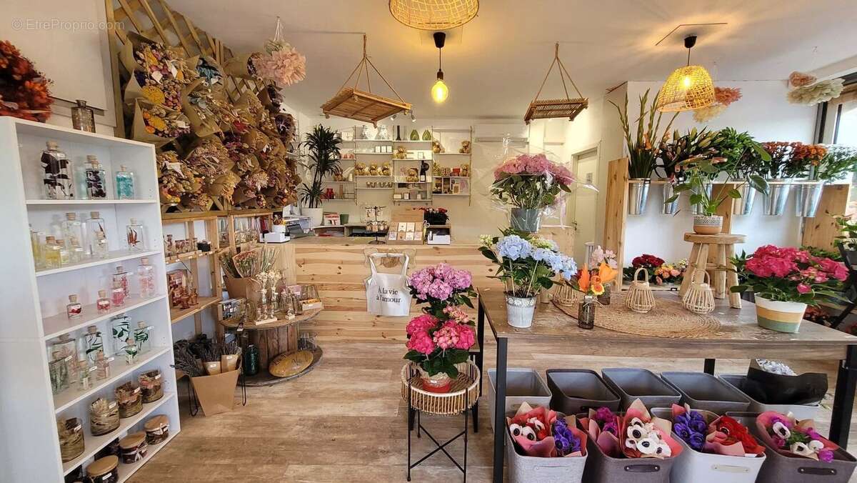 Commerce à LE THORONET