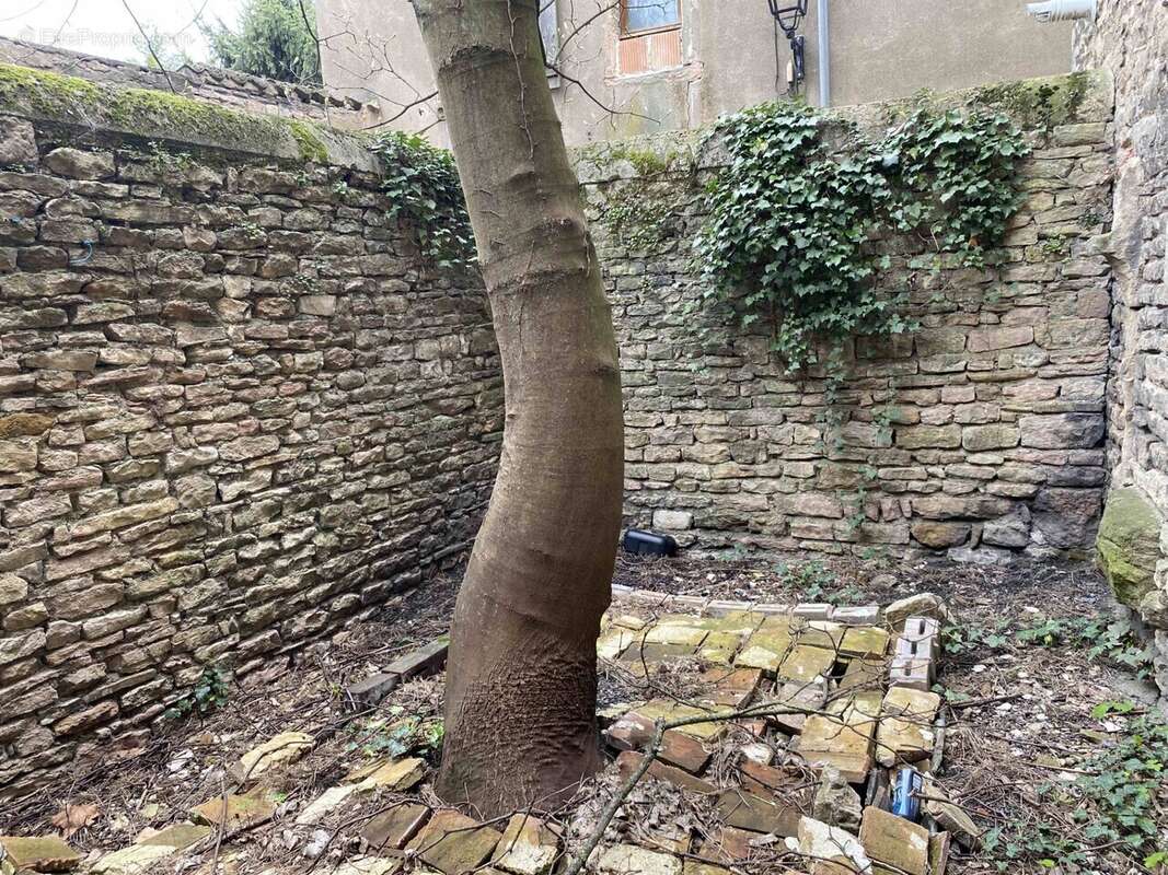 Appartement à TOURNUS