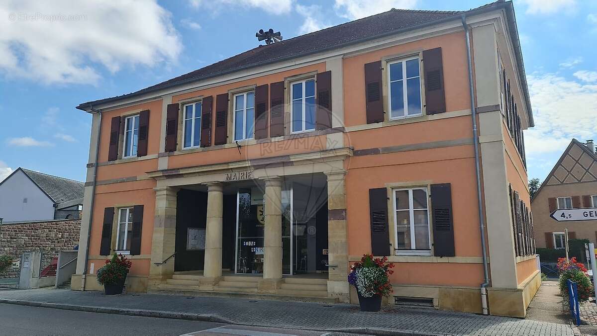 Terrain à OBERSAASHEIM