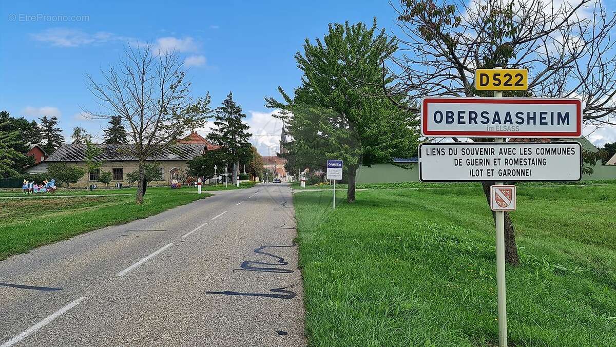 Terrain à OBERSAASHEIM