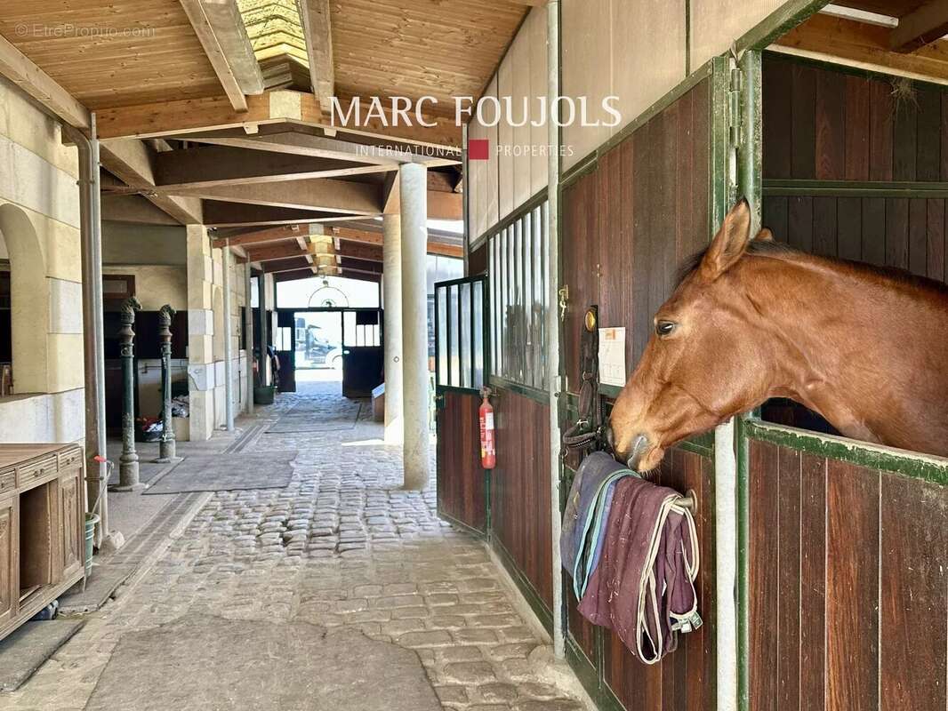 Maison à FONTAINEBLEAU