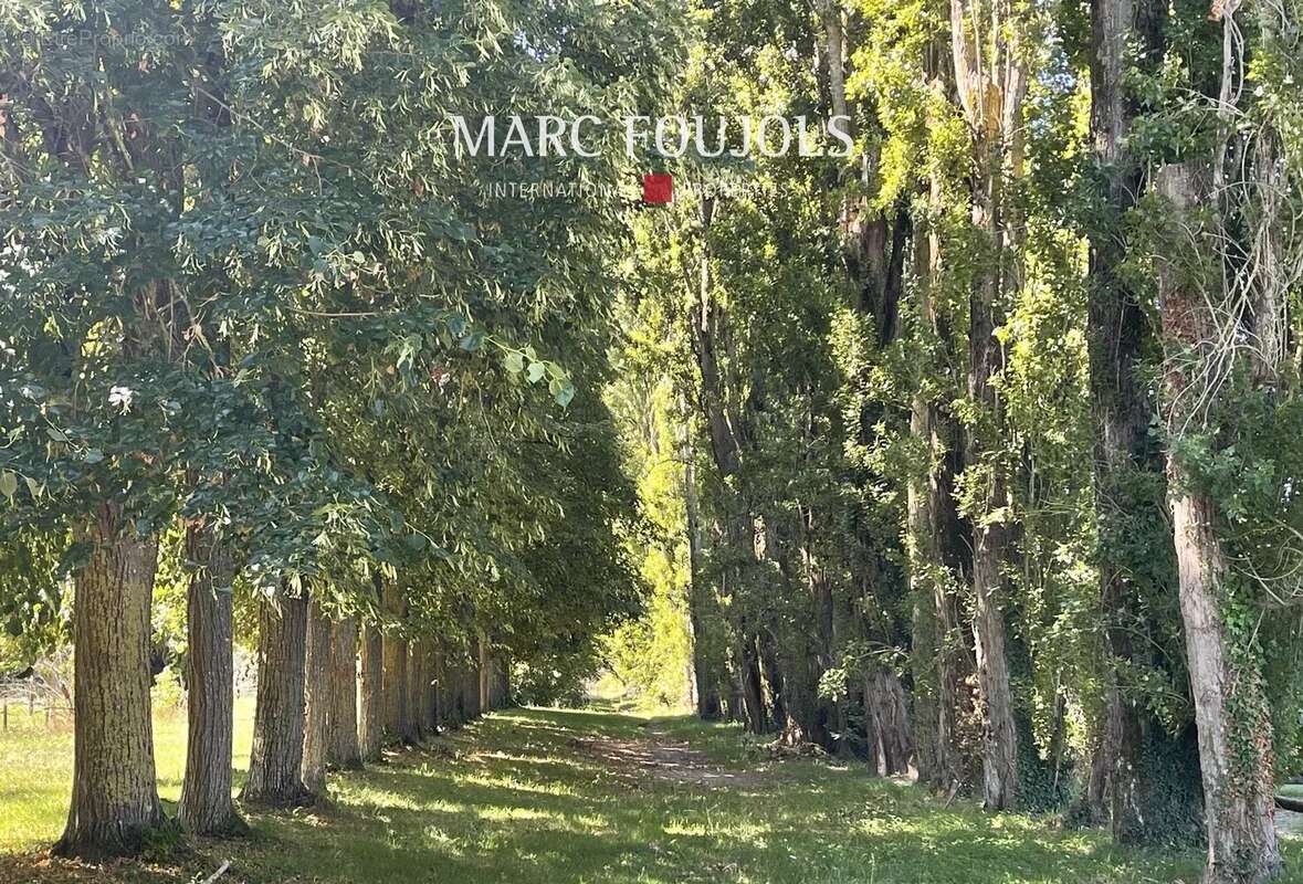 Maison à FONTAINEBLEAU