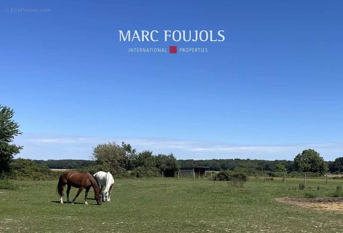 Maison à FONTAINEBLEAU