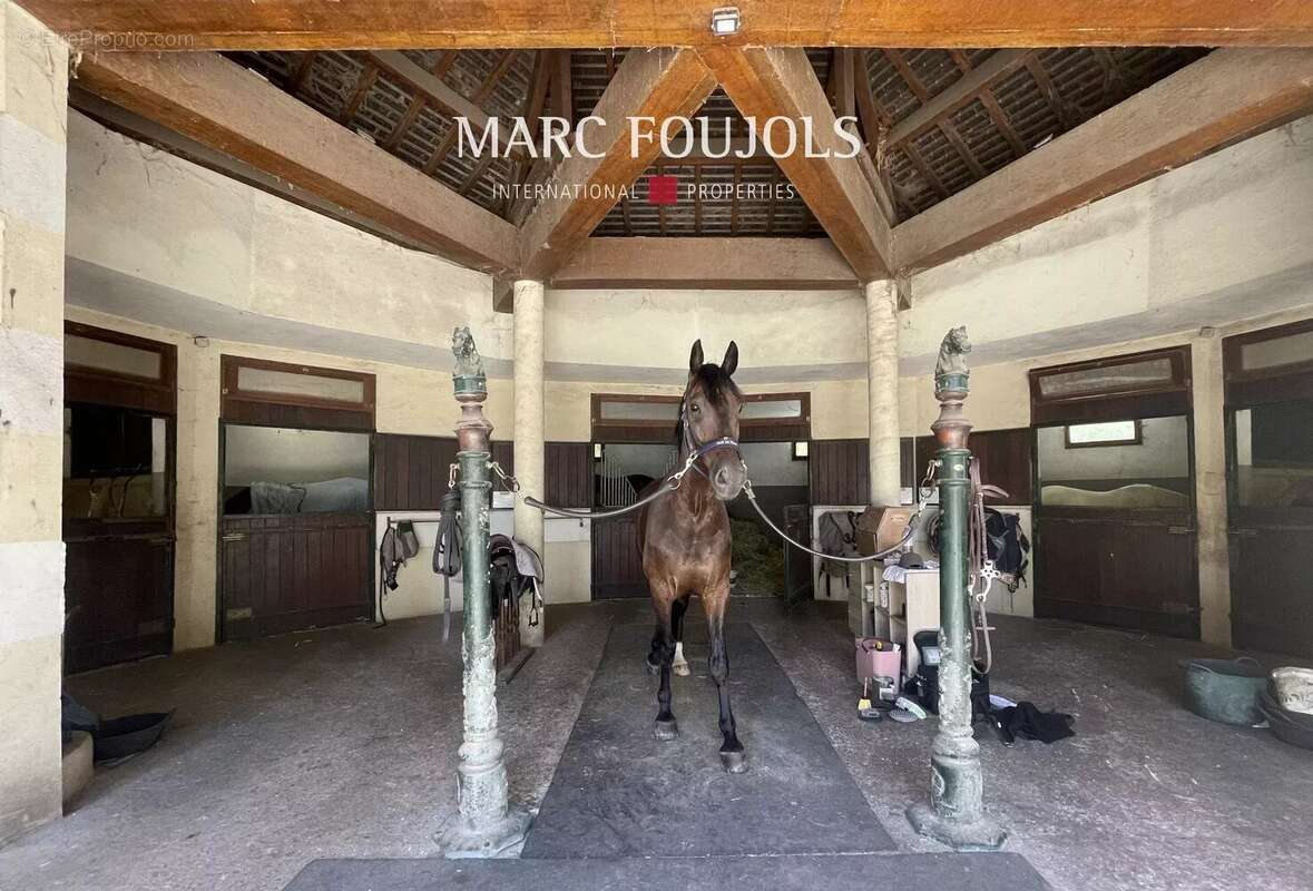 Maison à FONTAINEBLEAU