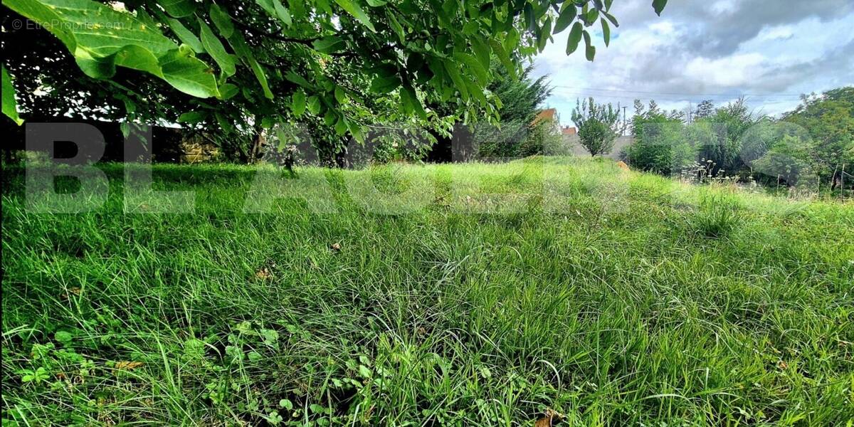 Screenshot_20250902_181123_Gallery (1) - Terrain à WASSELONNE