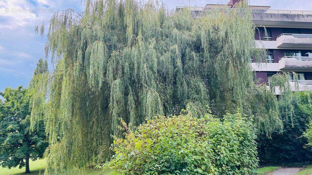 Appartement à FERNEY-VOLTAIRE