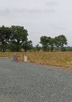 Terrain à DOMPIERRE-SUR-YON