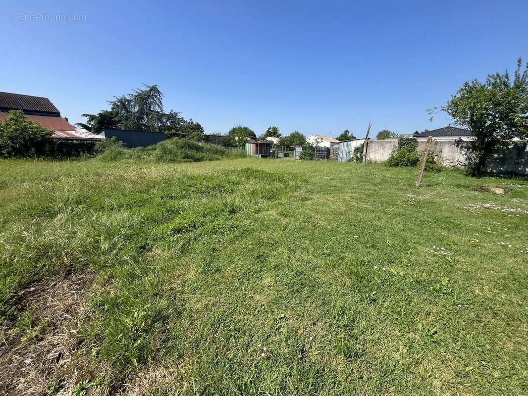 Terrain à SAINT-HILAIRE-DE-CHALEONS