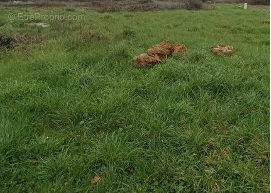 Terrain à BOURGNEUF-EN-RETZ