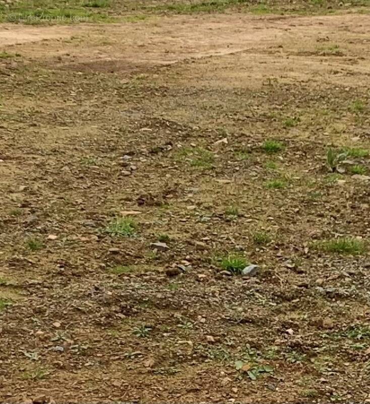 Terrain à LA PLAINE-SUR-MER