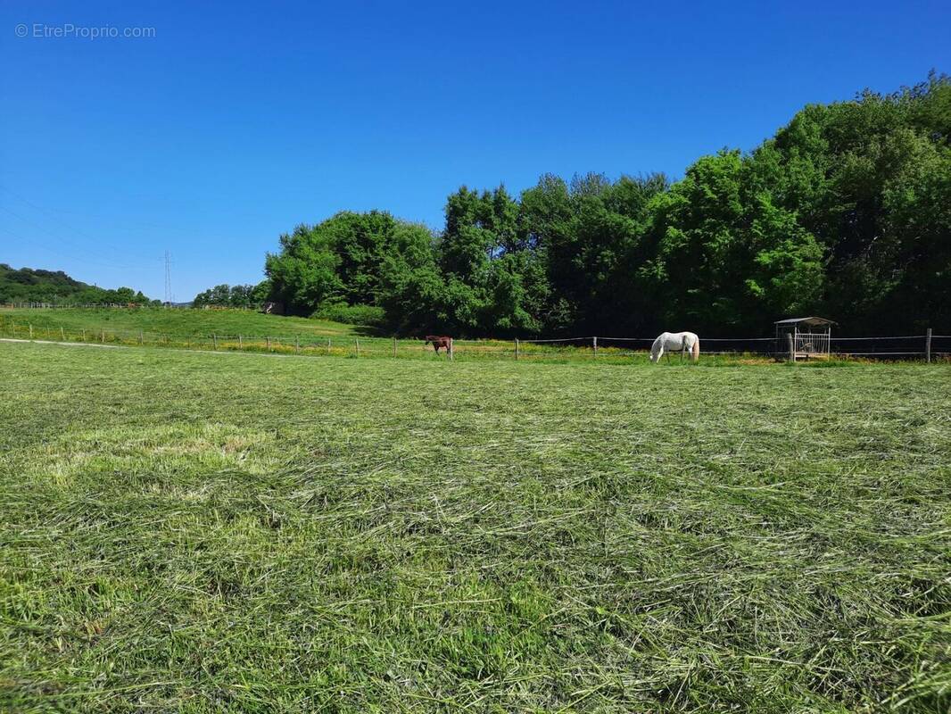 Terrain à BAVILLIERS