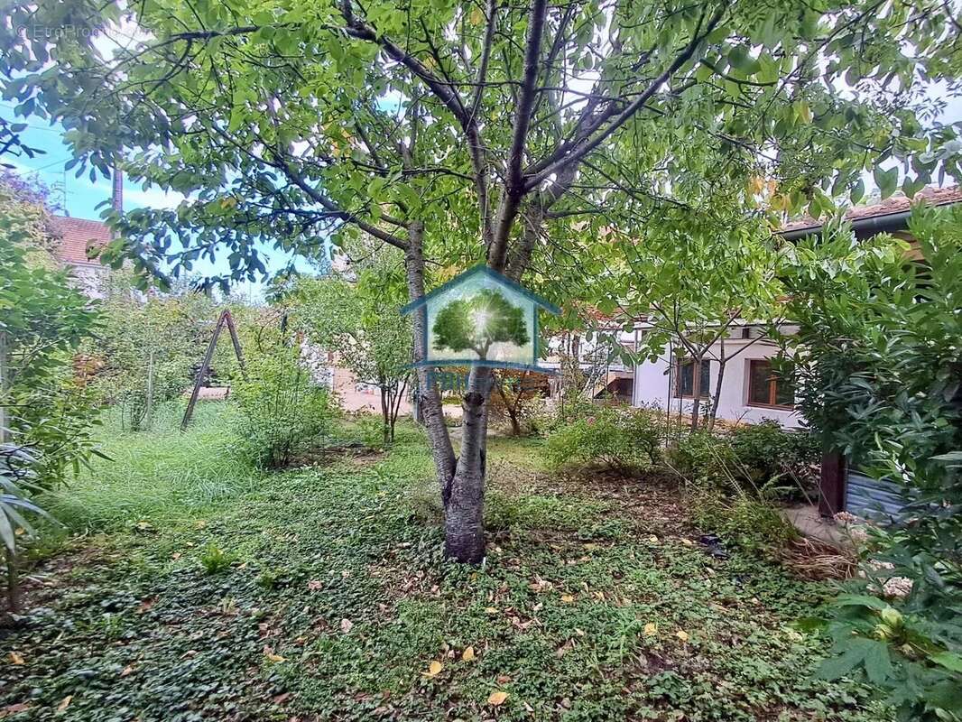 Maison à ILLKIRCH-GRAFFENSTADEN