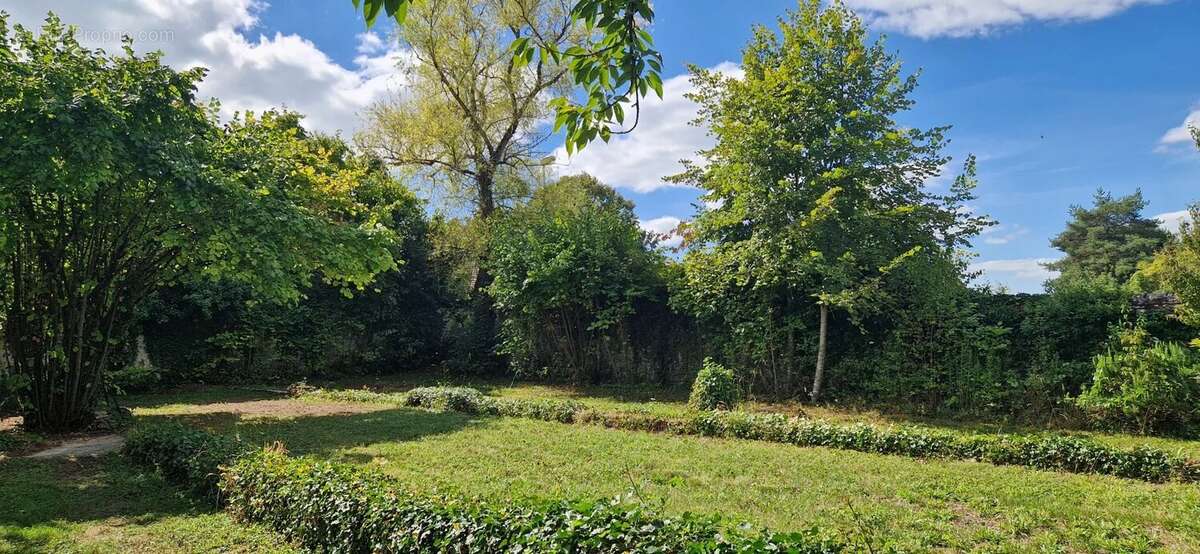 Terrain à VENEUX-LES-SABLONS