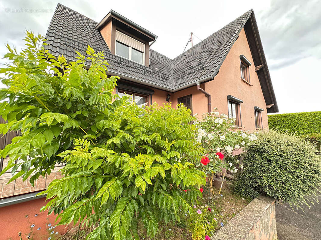 Maison à BERRWILLER