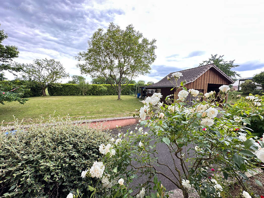 Maison à BERRWILLER