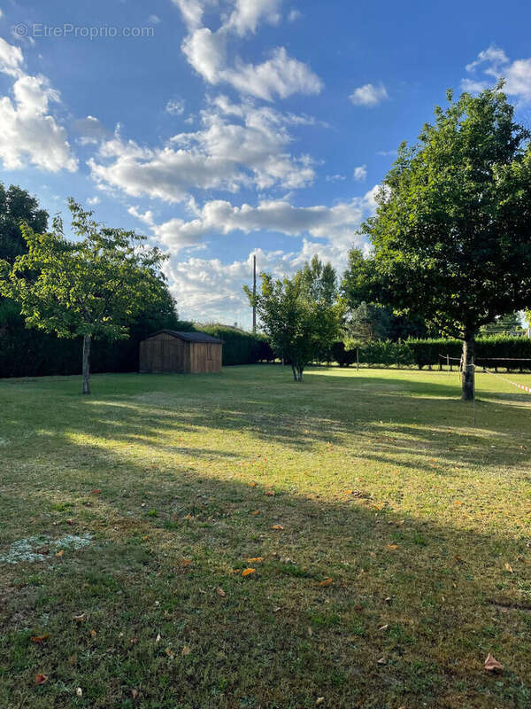 Terrain à CHECY