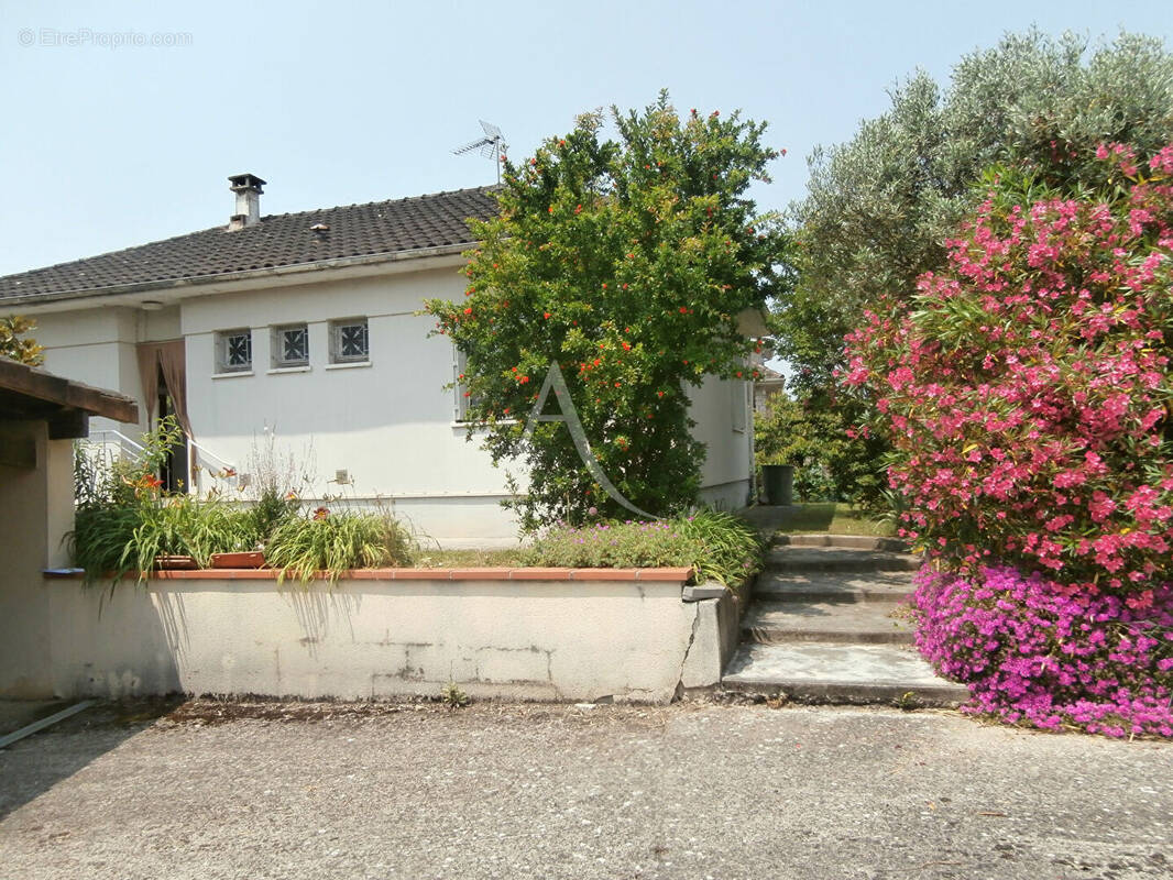 Maison à LAFRANCAISE