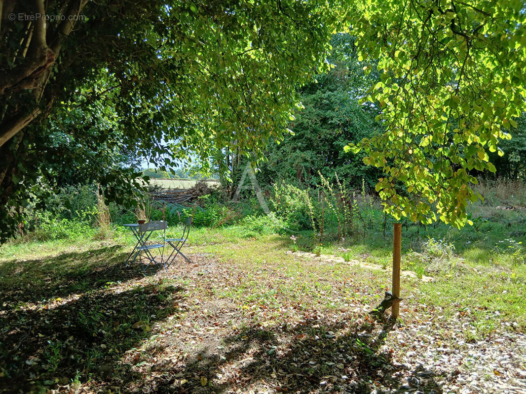 Terrain à BOUILLE-MENARD