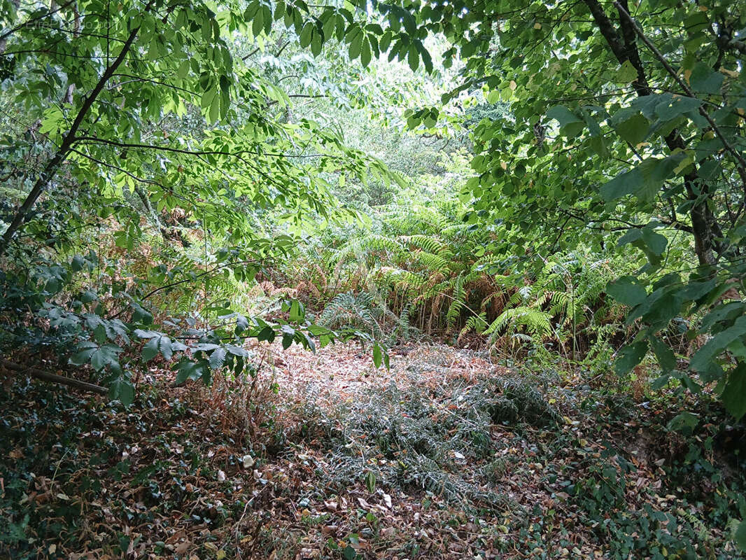 Terrain à BOUILLE-MENARD