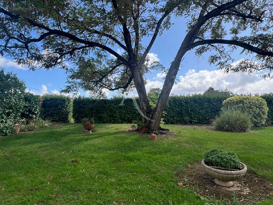 Maison à MOUZEUIL-SAINT-MARTIN