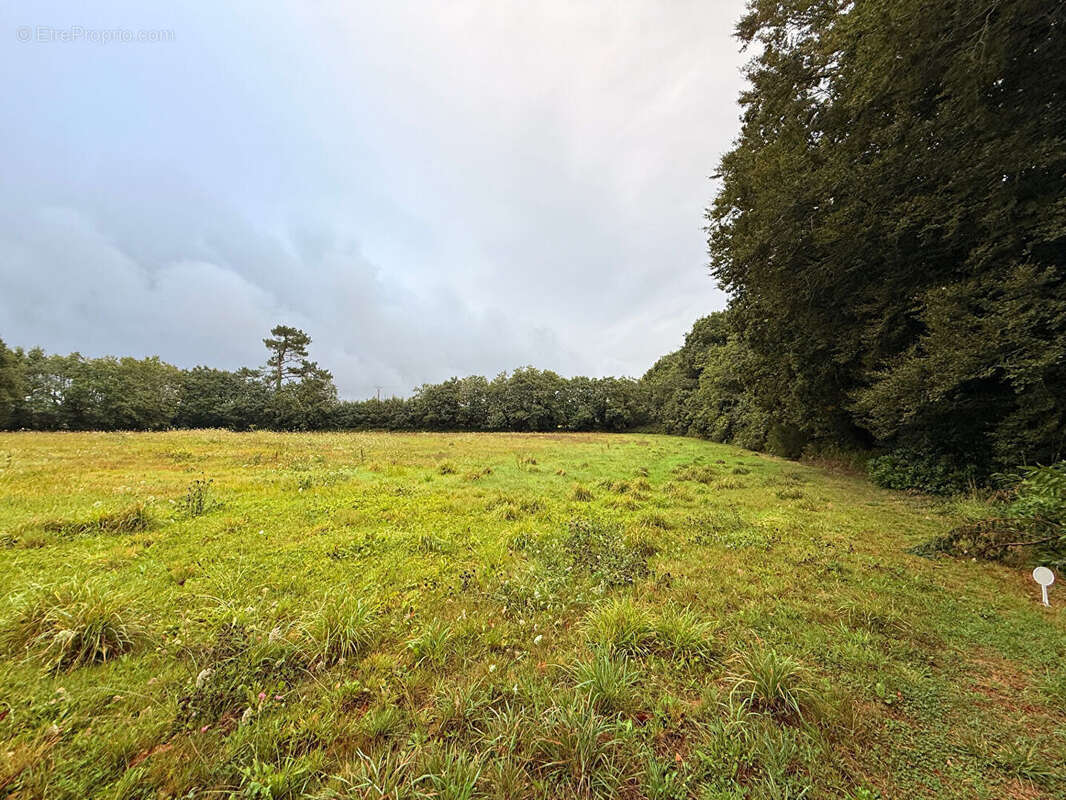Terrain à GOUESNACH