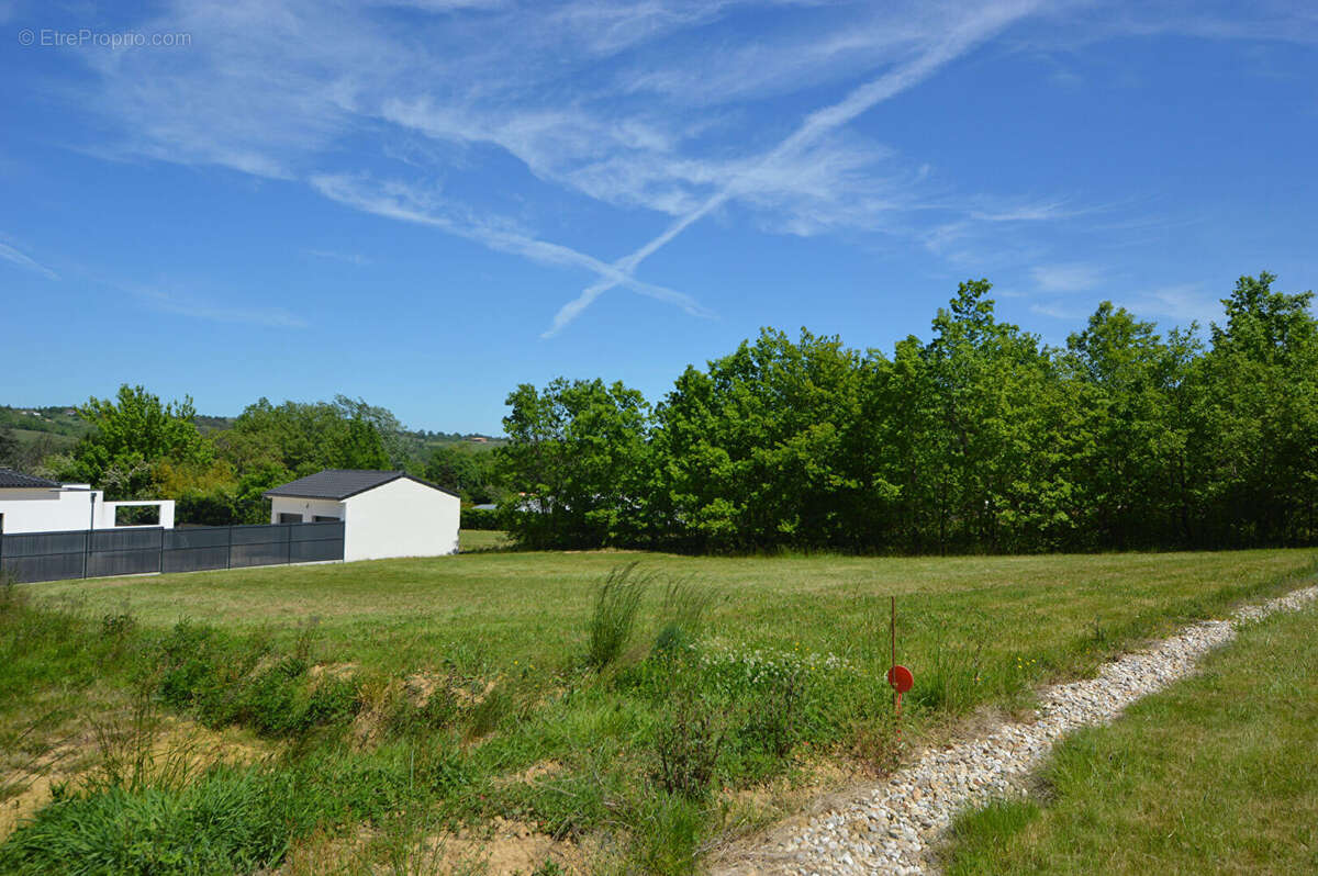 Terrain à MONTAUBAN
