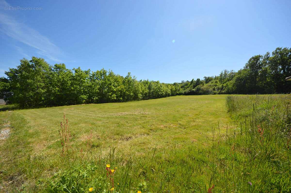 Terrain à MONTAUBAN