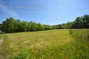 Terrain à MONTAUBAN