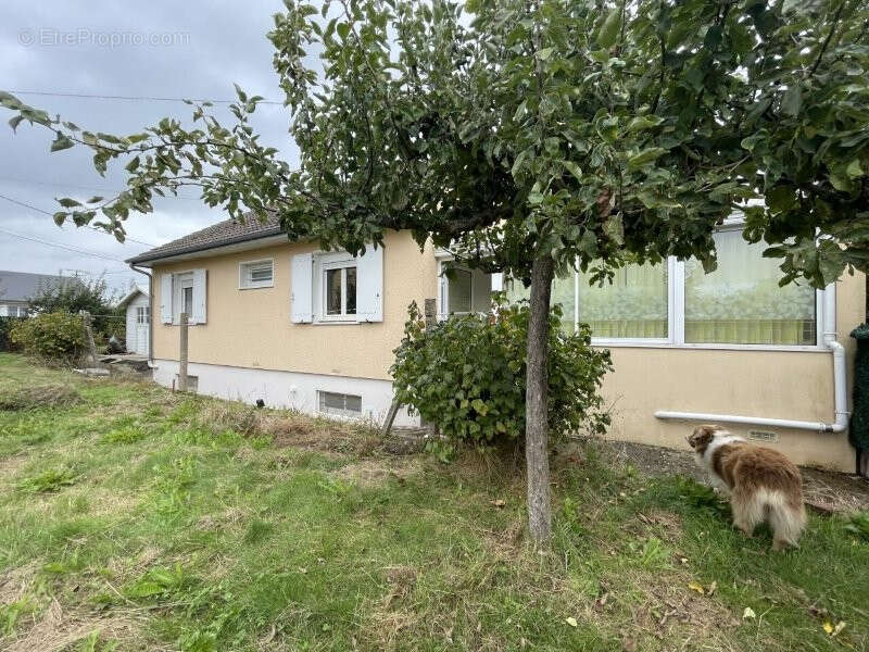 Maison à AUTHON-DU-PERCHE