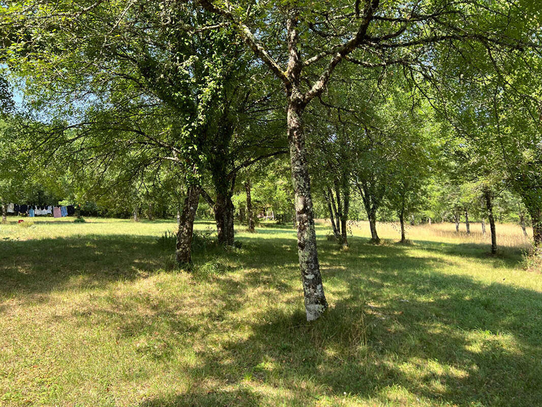 Maison à SAINT-ANTONIN-NOBLE-VAL