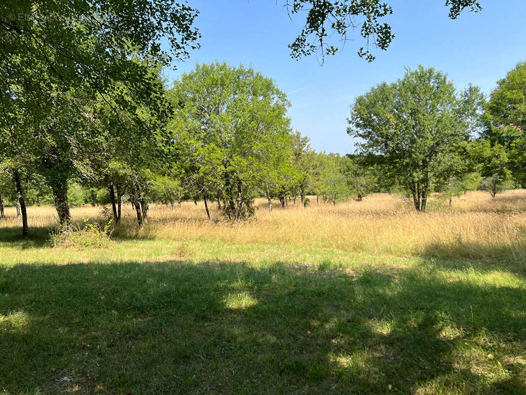 Maison à SAINT-ANTONIN-NOBLE-VAL