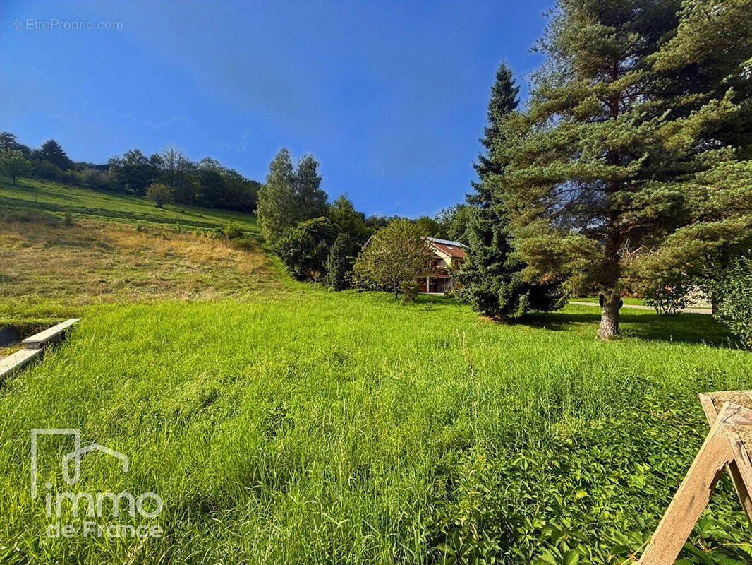 Terrain à CHAMPFROMIER