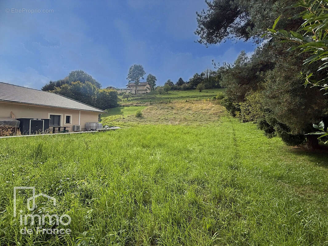 Terrain à CHAMPFROMIER