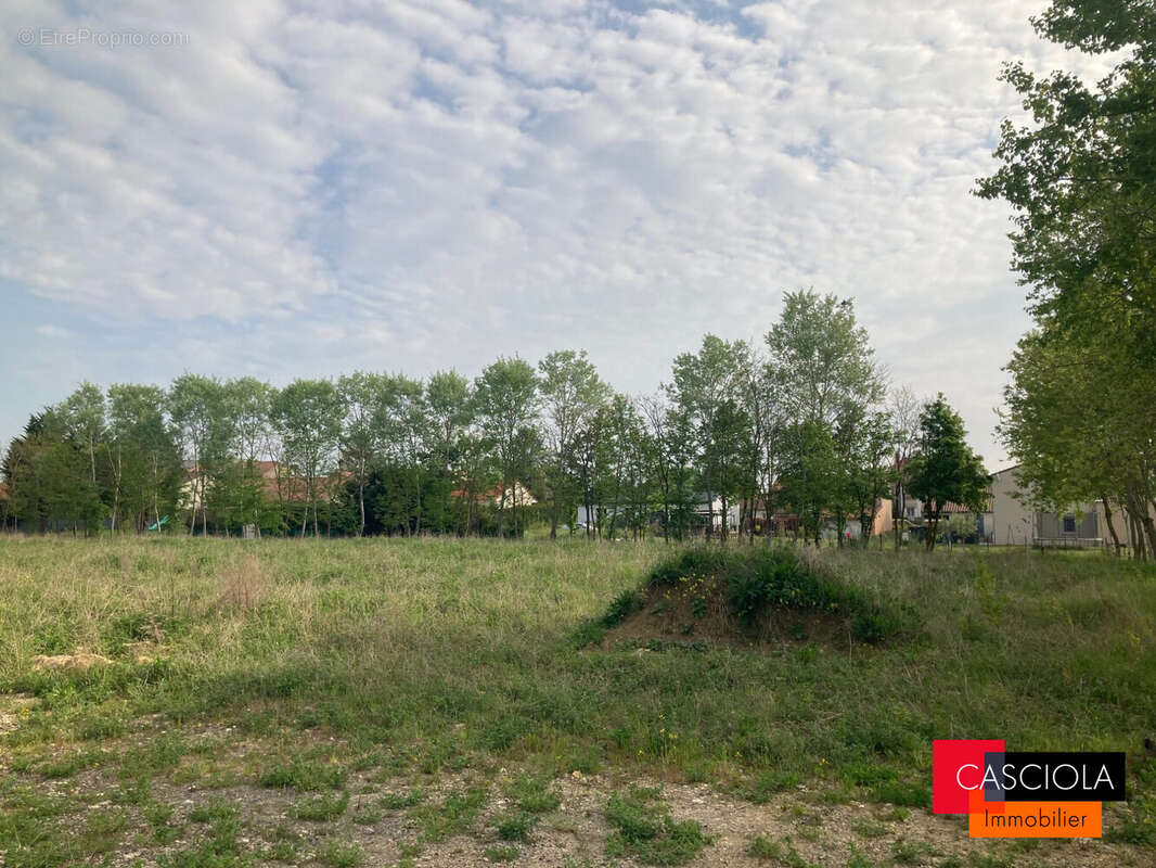 Terrain à GIRAUMONT