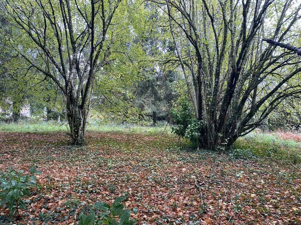 Terrain à SAINT-JULIEN-LE-PETIT