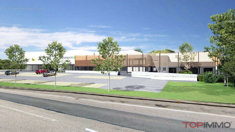 Commerce à DANNEMARIE