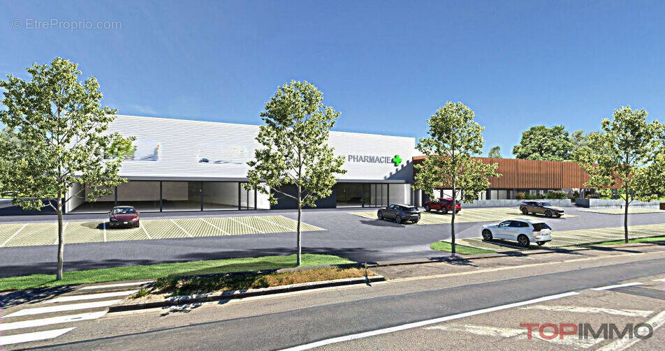 Commerce à DANNEMARIE