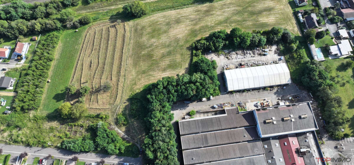 Commerce à DANNEMARIE