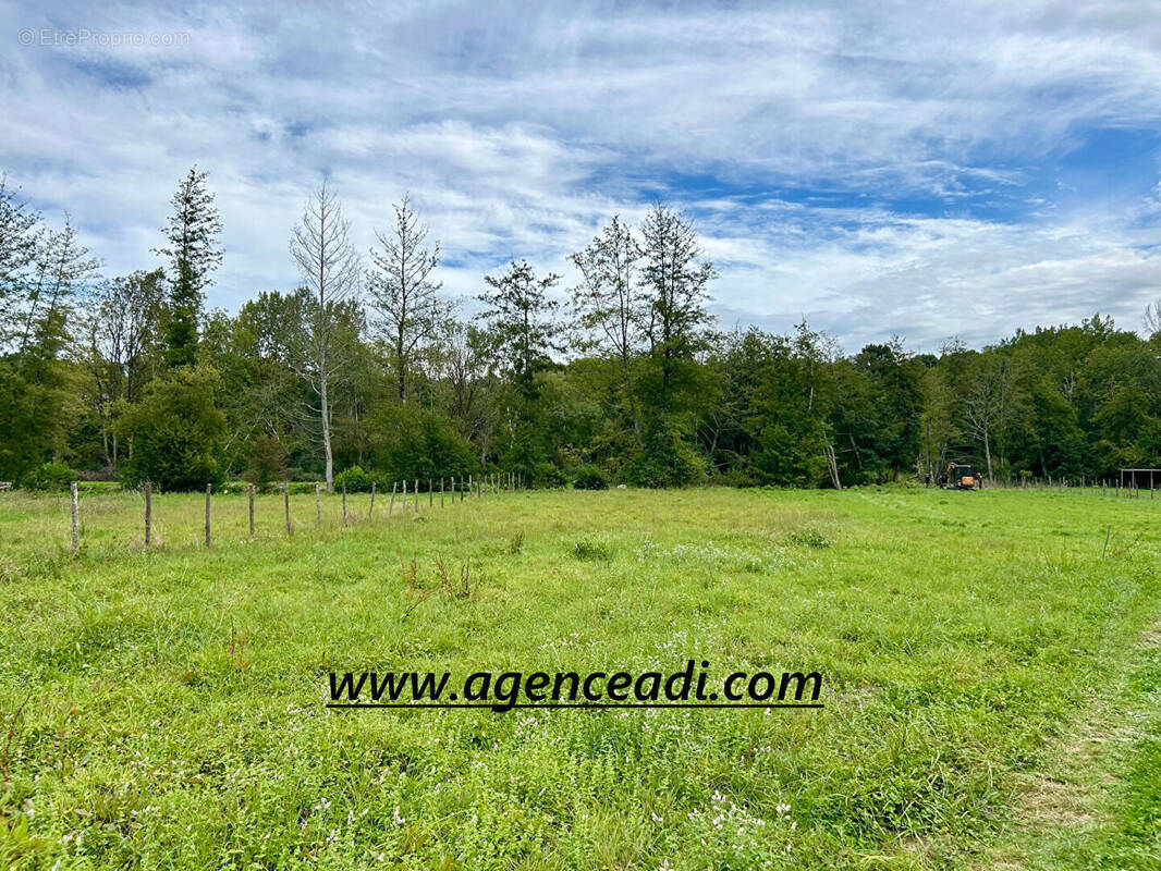 Terrain à LA CRECHE