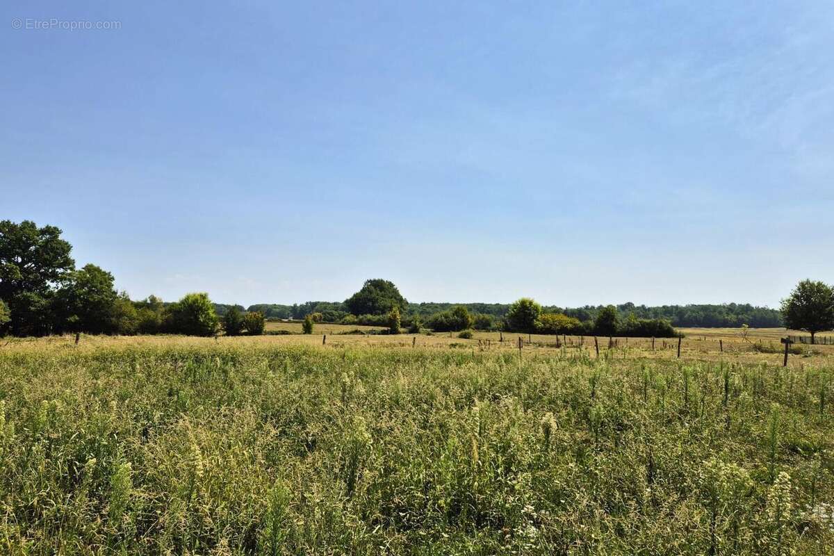 Photo 4 - Maison à LOUHANS