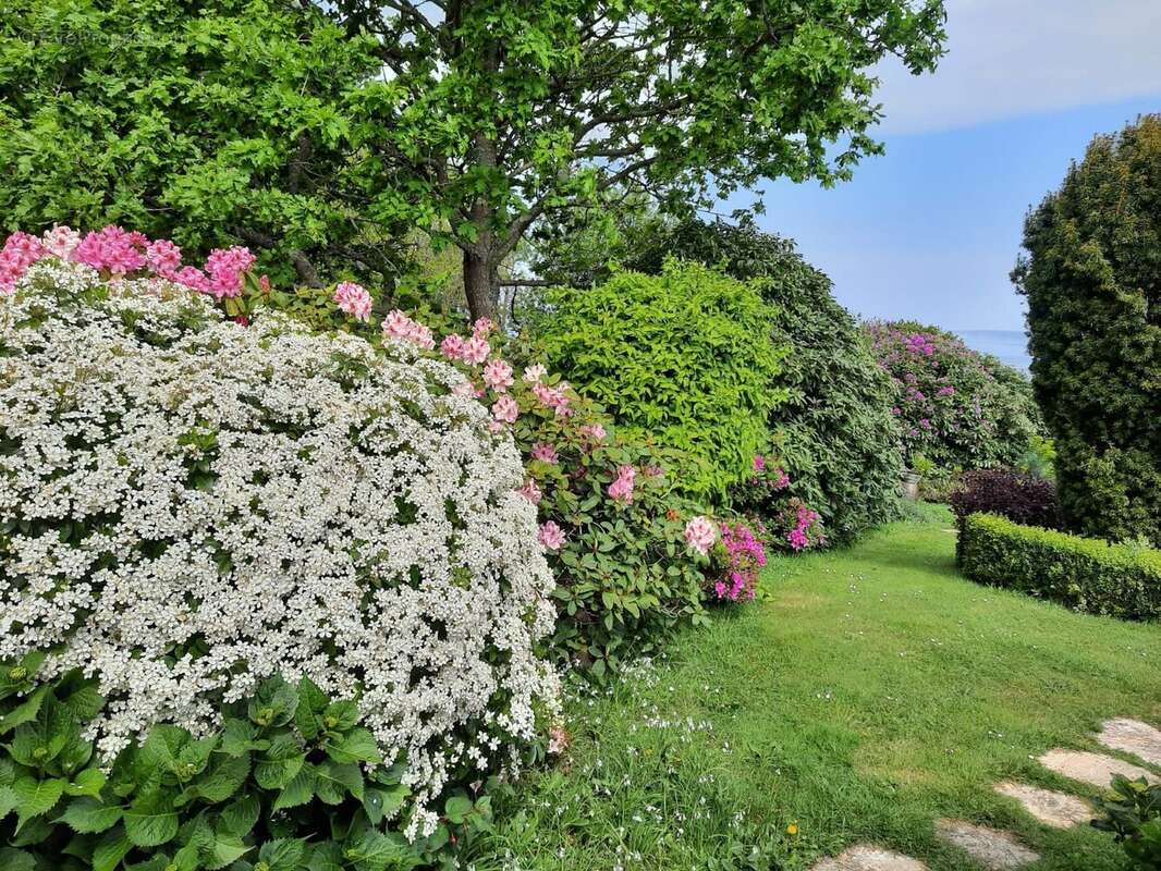 Maison à DOUARNENEZ
