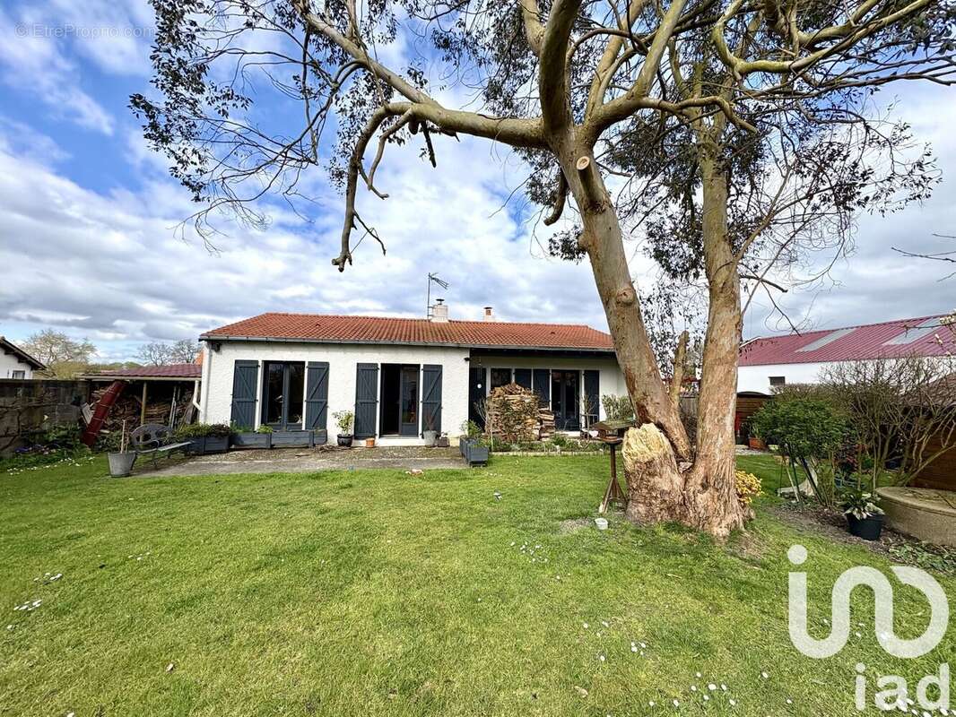 Photo 9 - Maison à SAINT-ETIENNE-DE-MER-MORTE